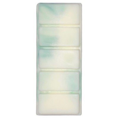 Αρωματικό Wax Melt Σόγιας Themagio Green Apple & Cinnamon 55gr 1 Τεμάχιο - 77403 50013